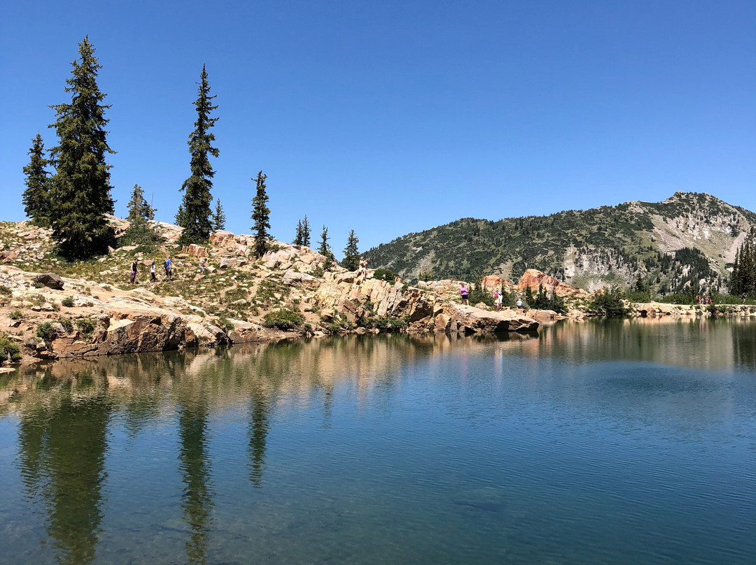 Cecret Lake Trail-Alta必去景点