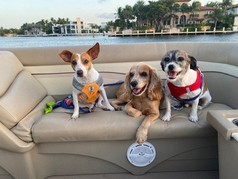 Lagerhead Cycleboats-劳德代尔堡必去景点