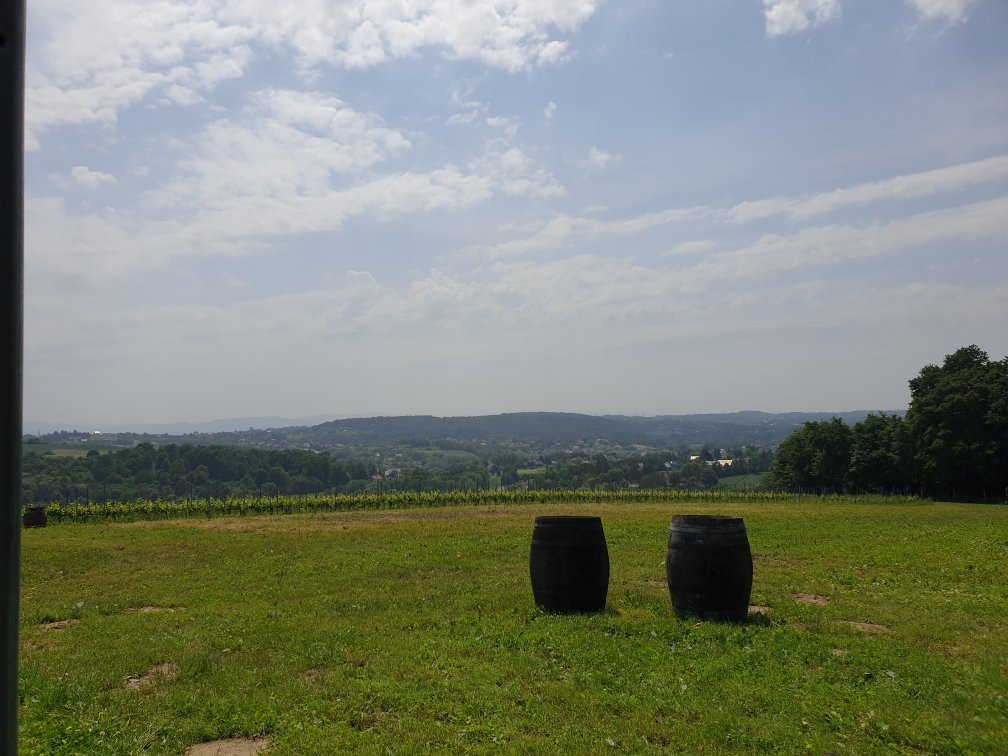Winnica Wieliczka景点图片