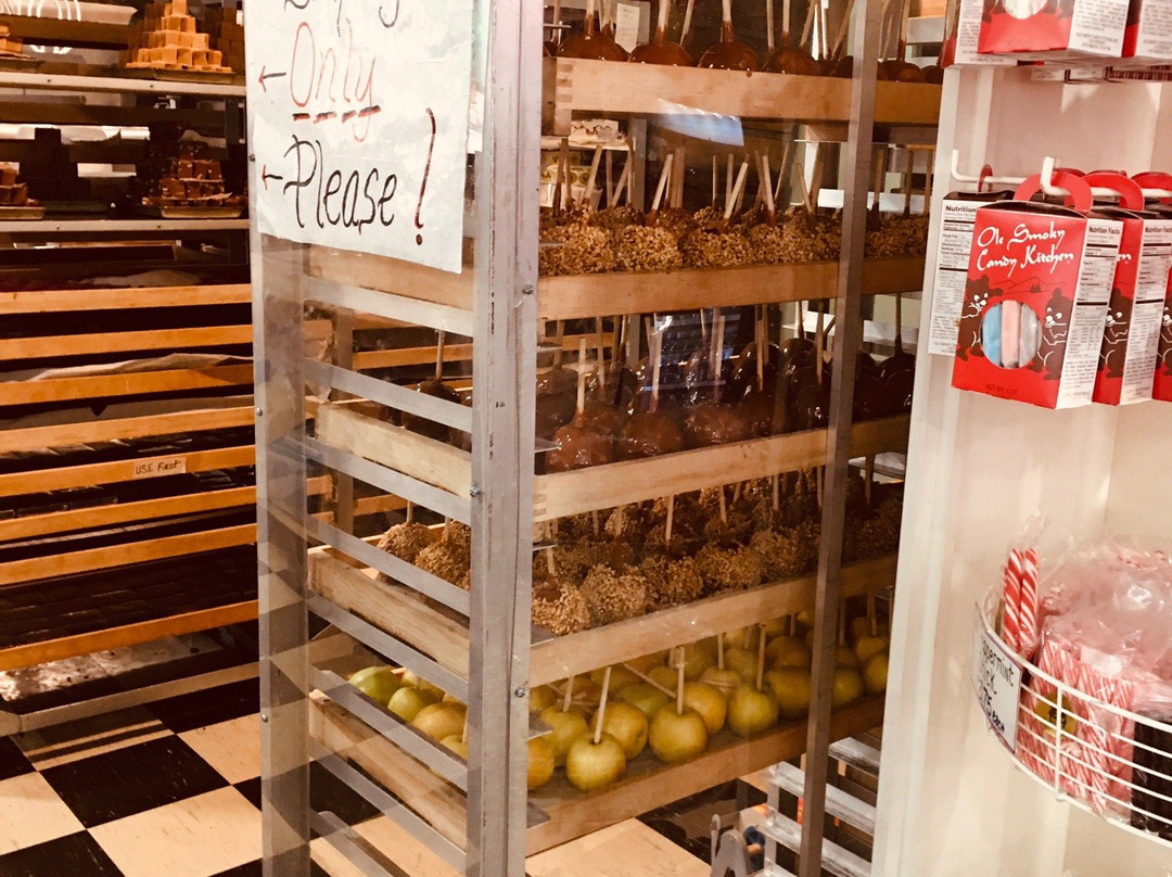 The Original Smoky Mountain Taffy Logs-盖林柏格必去景点