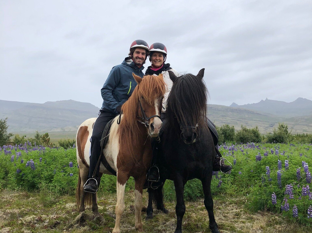 Fell Horse Rental-Breiddalsvik必去景点