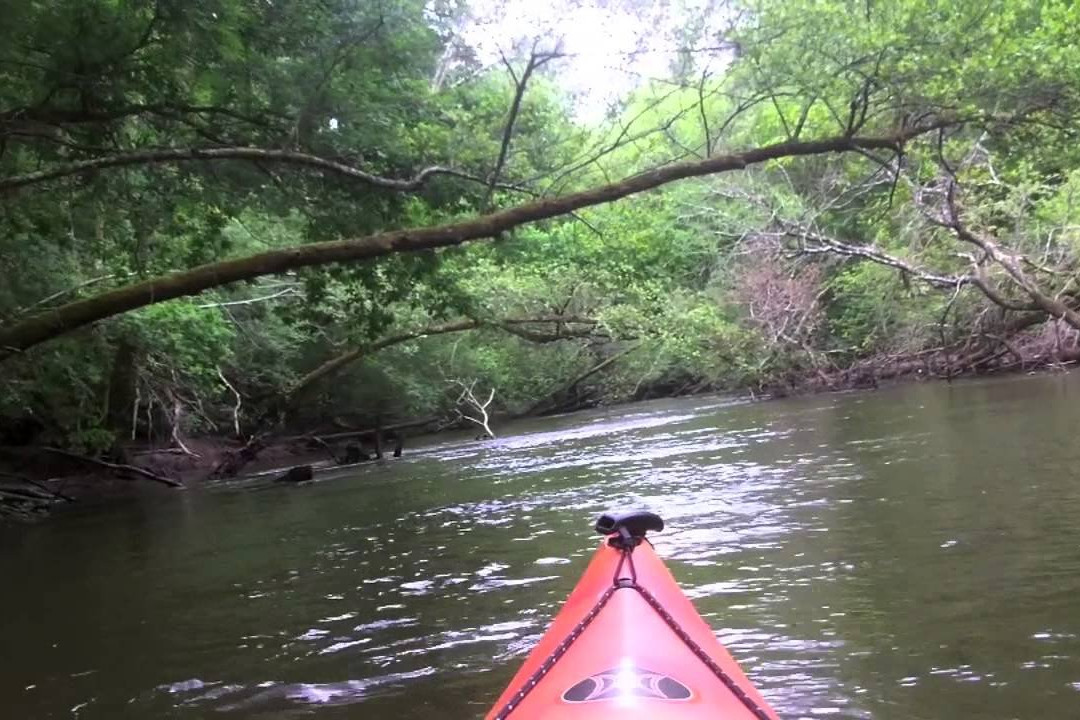 Canoë Kayak Club Le Teich景点图片