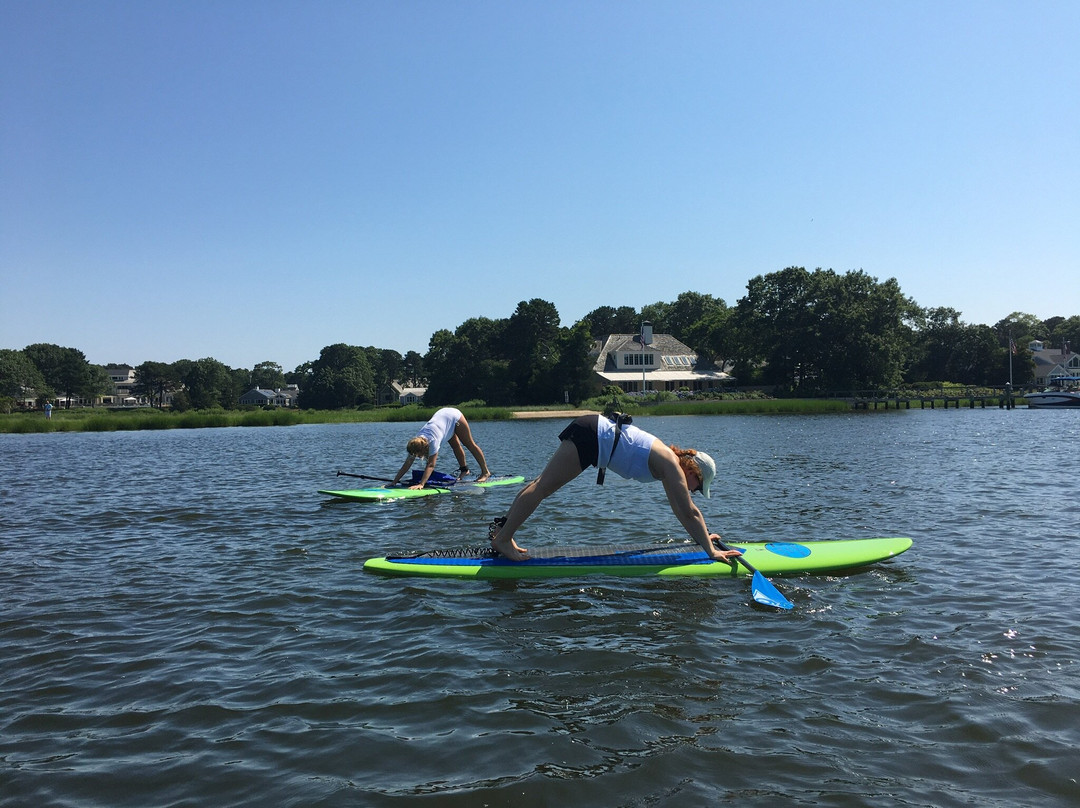 Stand Up & Paddle Cape Cod-Osterville必去景点