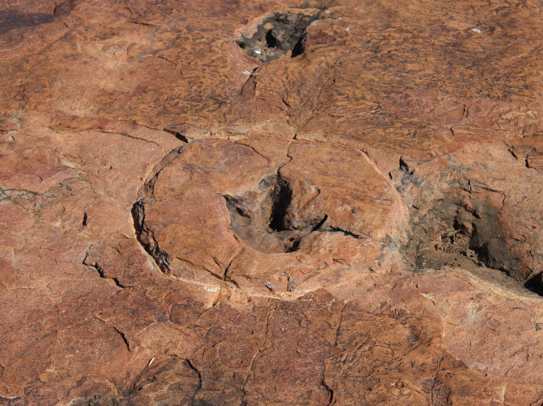Dinosaur Tracks - National Monument NAMIBIA-Kalkfeld必去景点