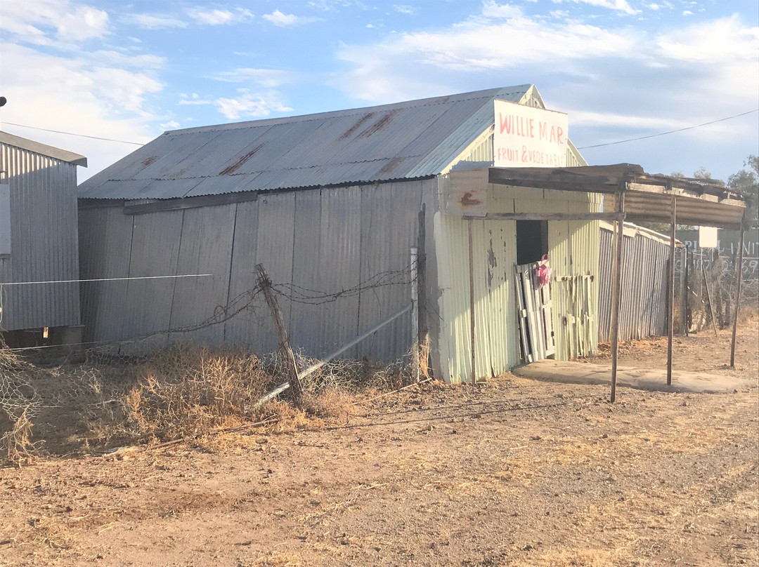 Willie Mar’s Fruit and Vegetable Shop-Winton必去景点