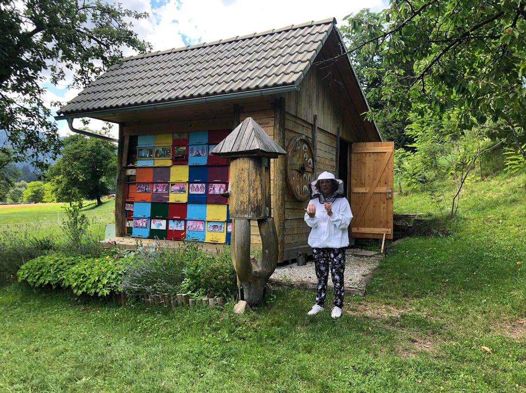 eBike tour Bled-布莱德必去景点