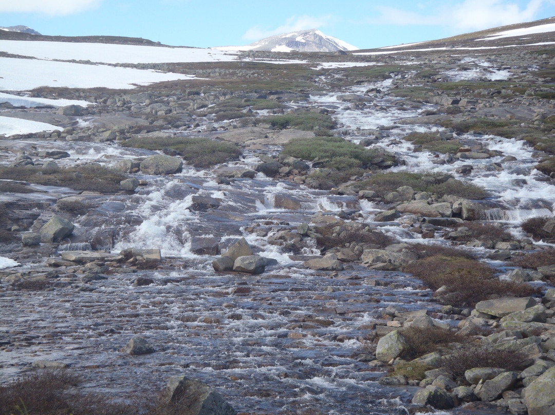 Saltfjellet Hotel主图