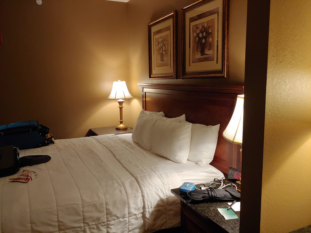 The Wildwood Hotel主图