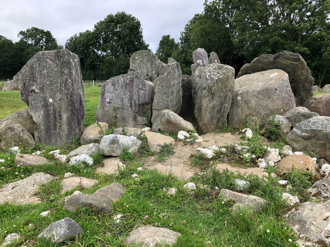 Knockroe Passage Tomb-基尔肯尼必去景点