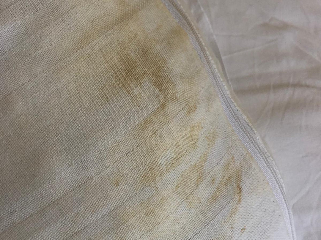 Albergo Tarsia主图