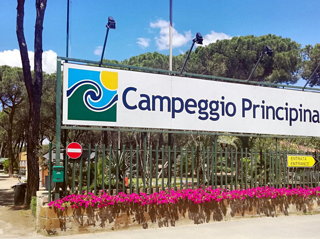 Camping Principina