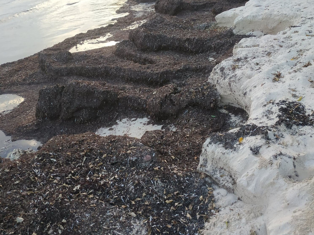 Domaine du Lagon主图