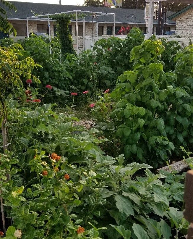 Regency Inn Gatesville主图