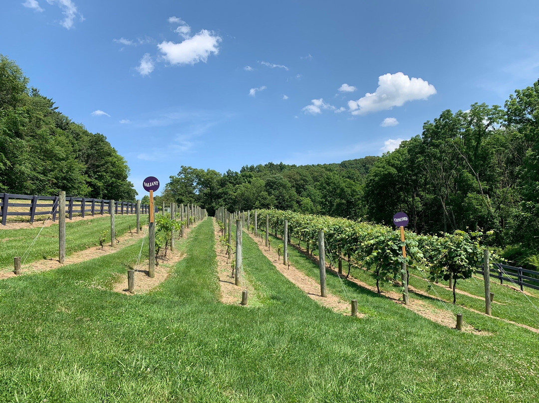 Breitenbach Winery-Dover必去景点