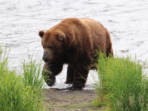 Adventure Airways-荷马必去景点