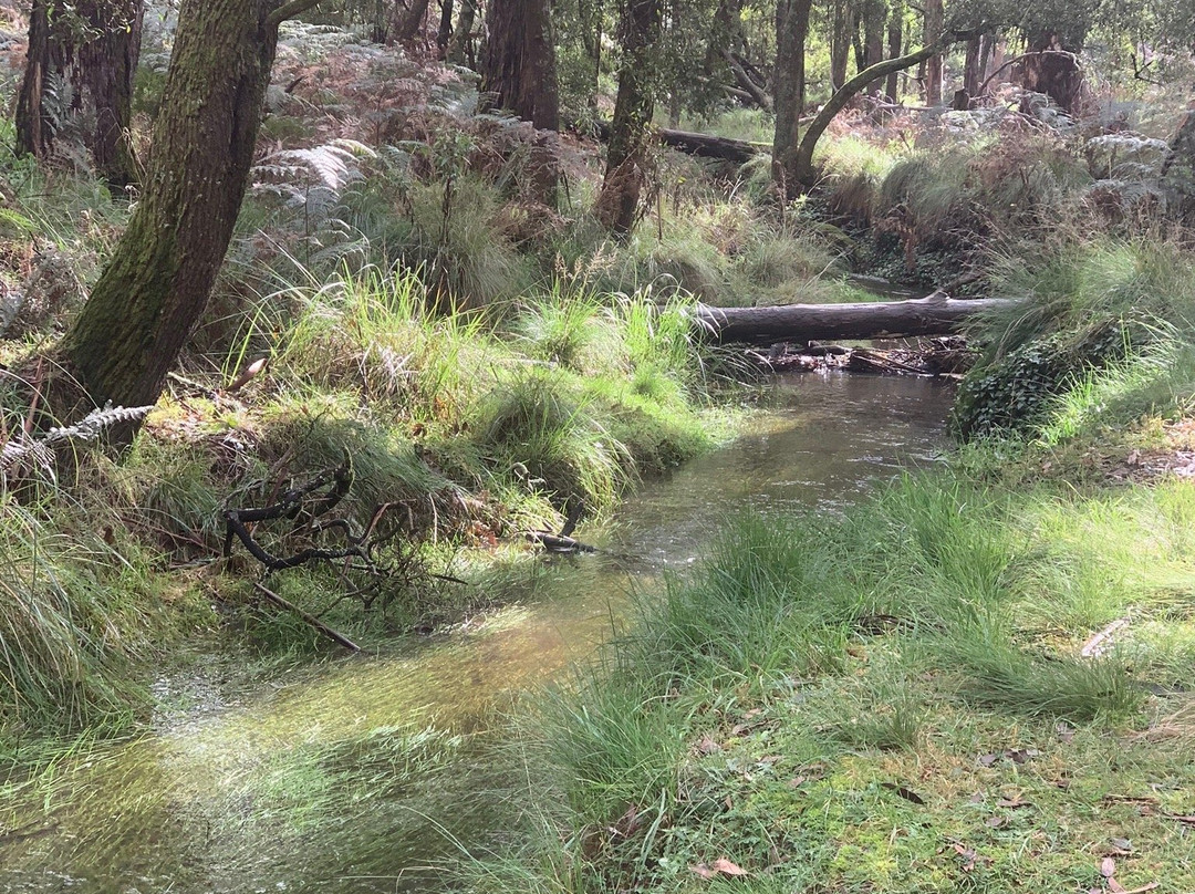 Lyonville Springs-Lyonville必去景点