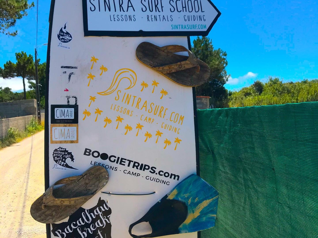 Sintra Surf School景点图片
