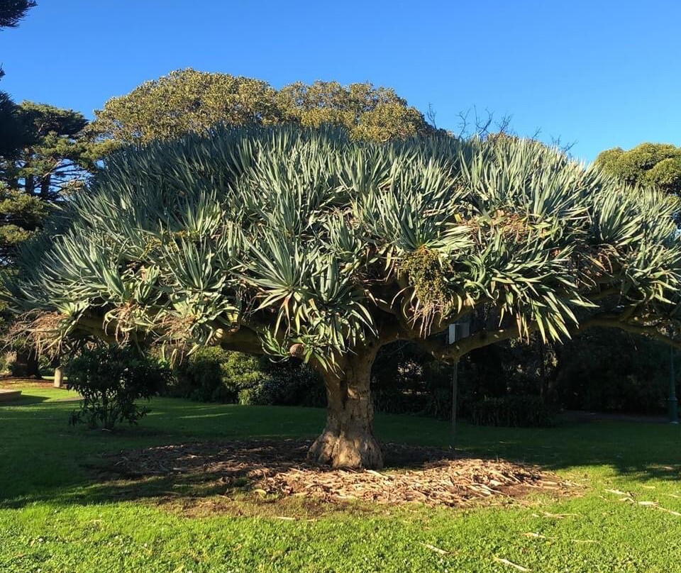 Koroit Botanical Gardens景点图片