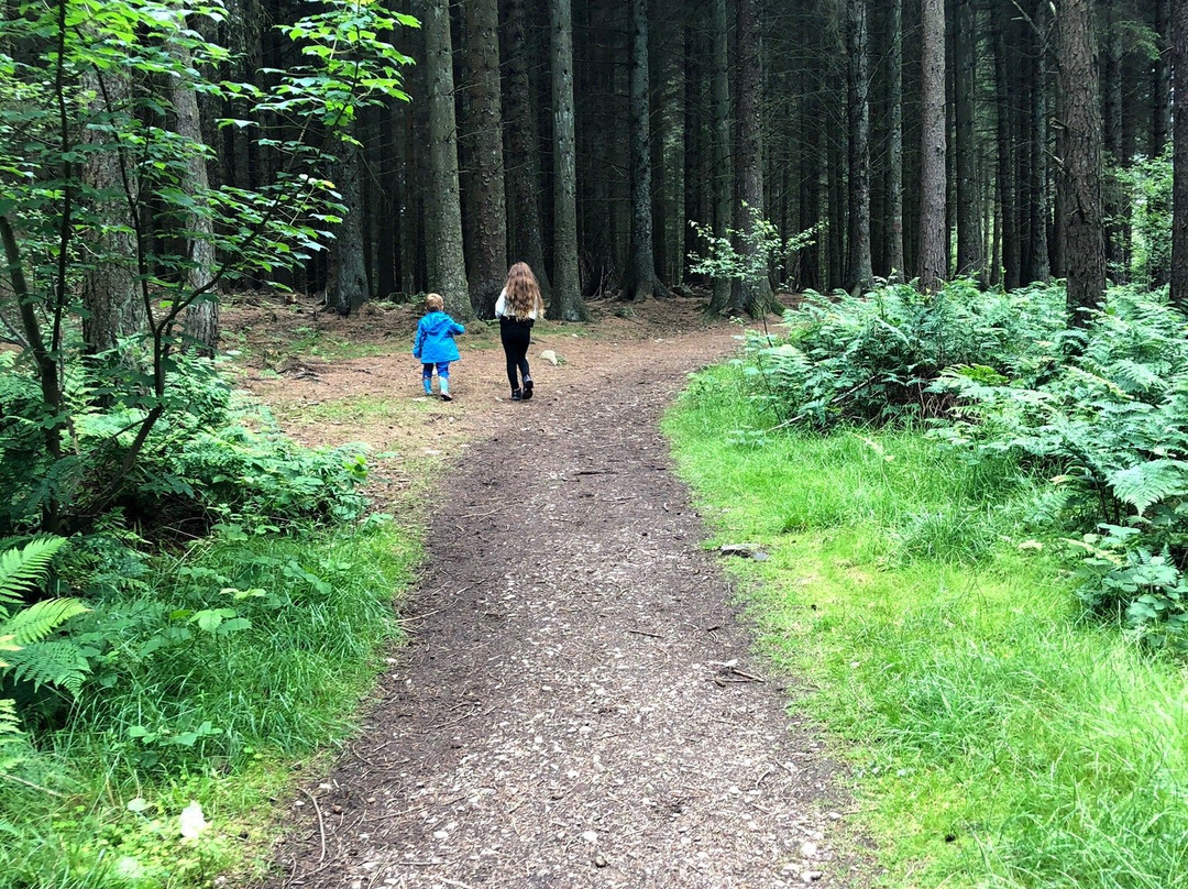 Kirkhill Forest and Tyrebagger Wood-阿伯丁必去景点