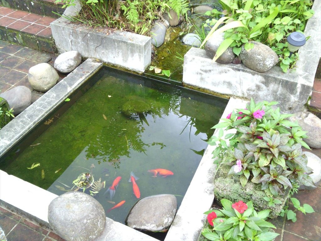 Hanano Bandai-山鹿市必去景点