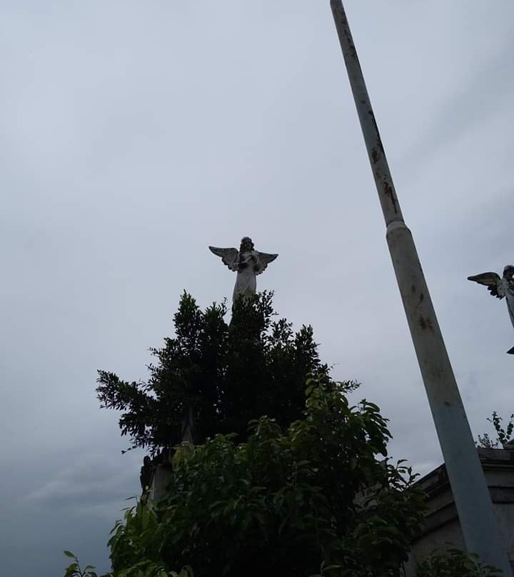 Cemitério São João Batista景点图片