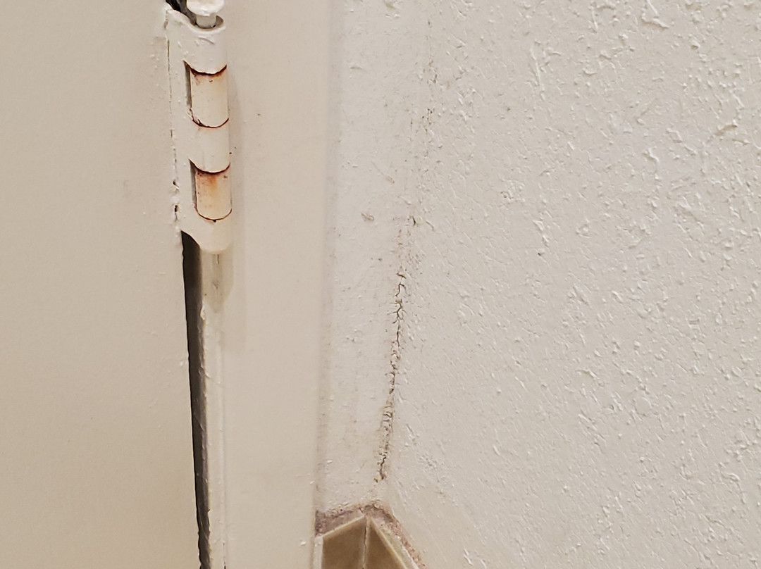 Super 8 by Wyndham Salina主图