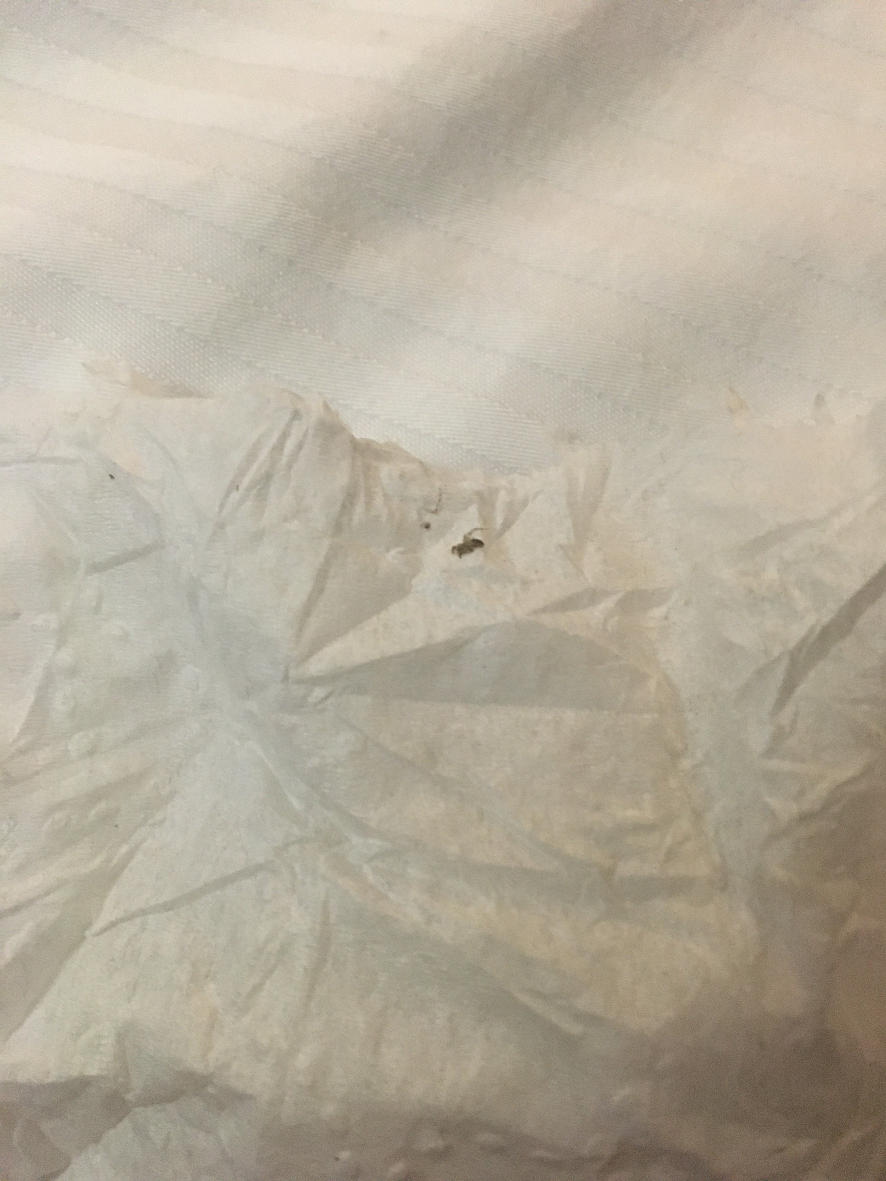 Iris Garden Inn-官方