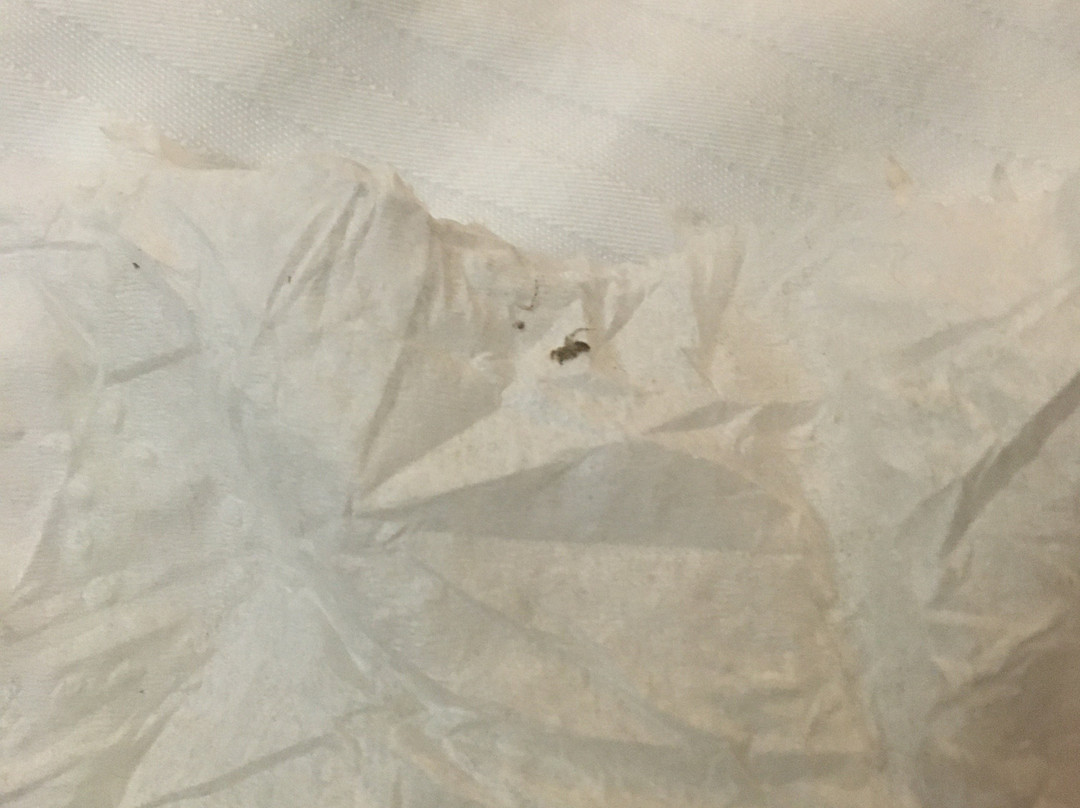 Iris Garden Inn主图