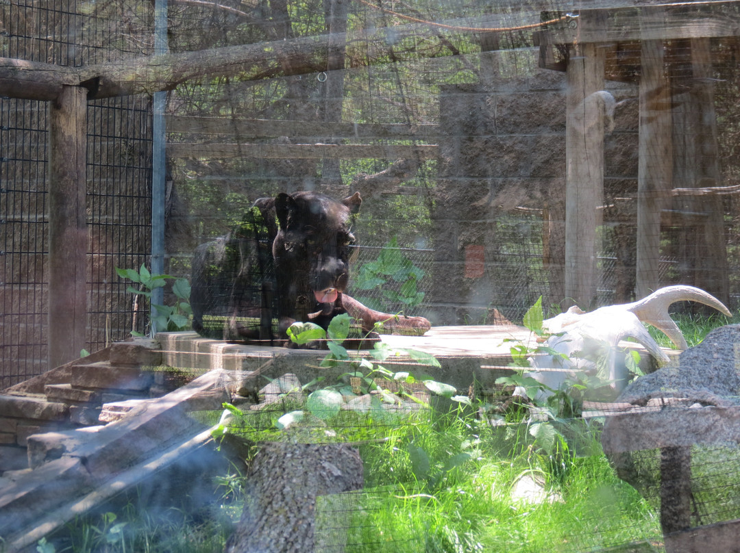 Bramble Park Zoo-沃特敦必去景点