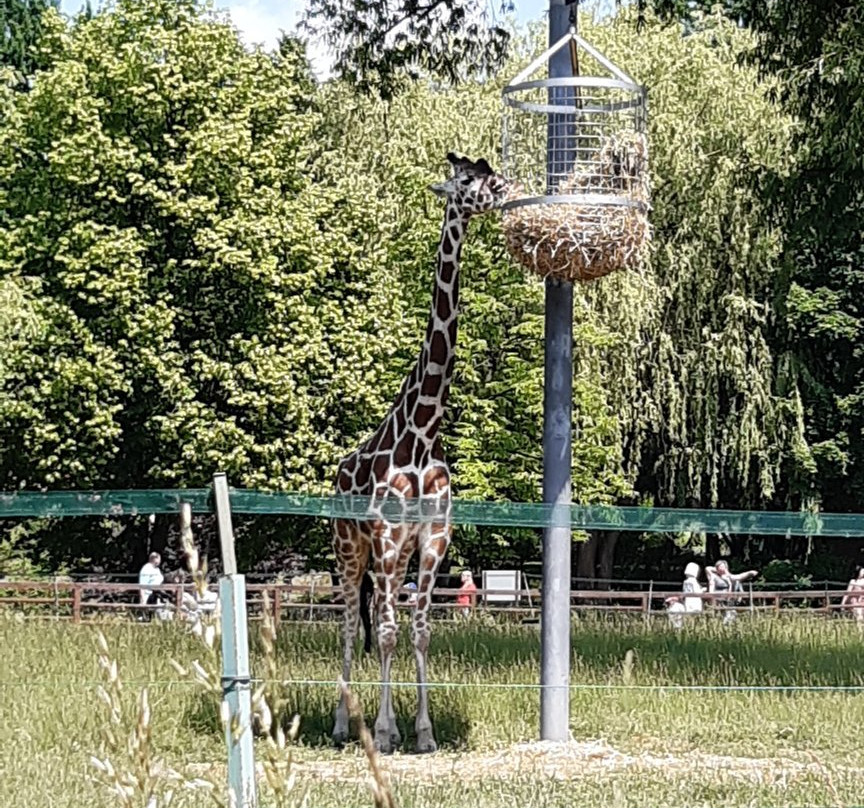 Silesian Zoological Garden-Chorzow必去景点