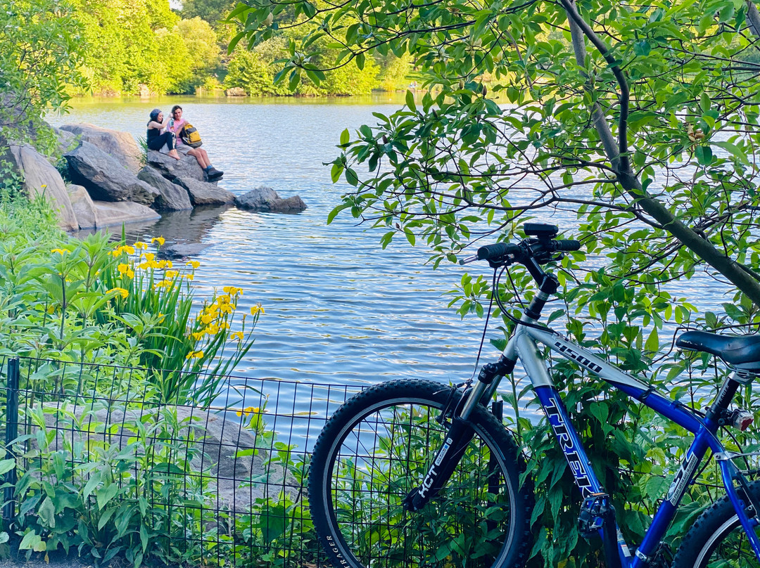 Central Park Tours & Bike Rentals景点图片