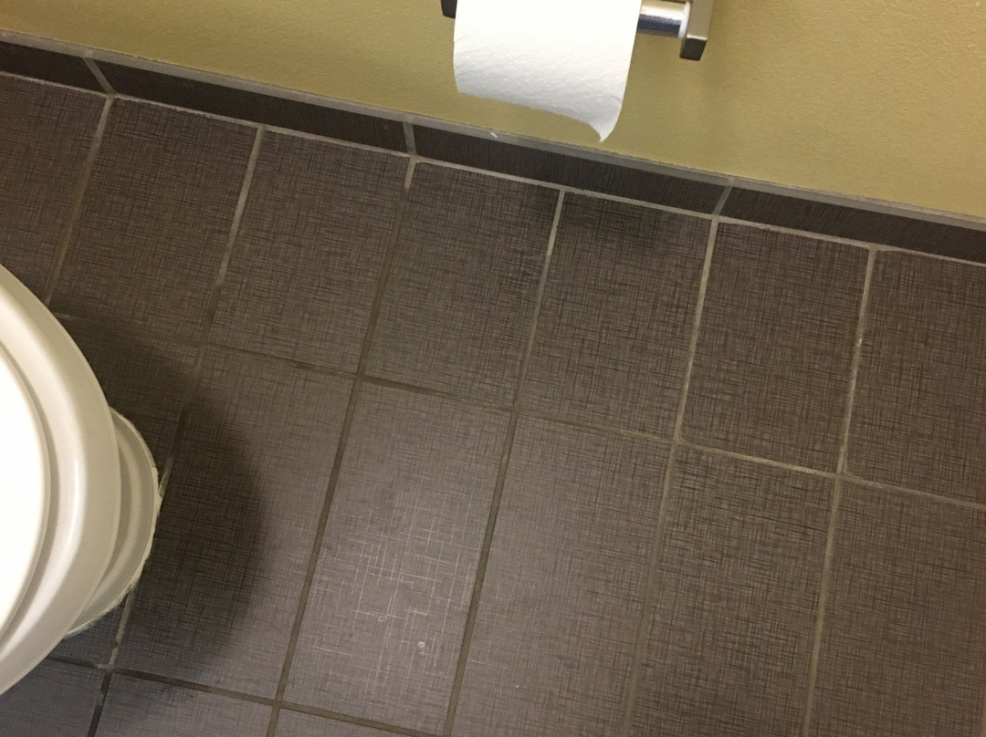 Sleep Inn & Suites Jasper I-22主图