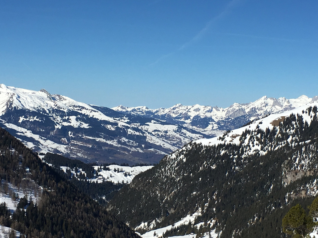 Schneesportschule Malbun-特里森贝格必去景点