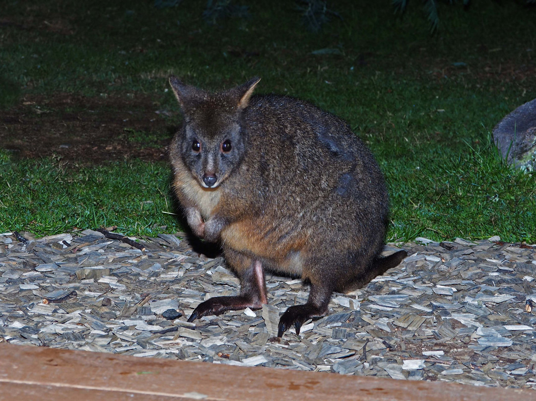 Mountain Valley Wilderness Holidays主图