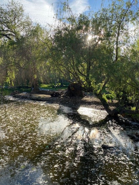 Woodland Water Park-卡利斯佩尔必去景点