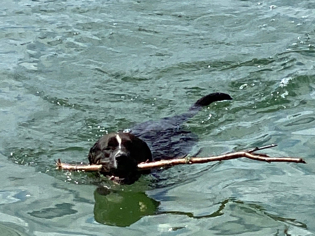 Dickey Lake-Trego必去景点