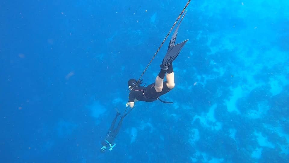 Saba Freediving School-Windwardside必去景点