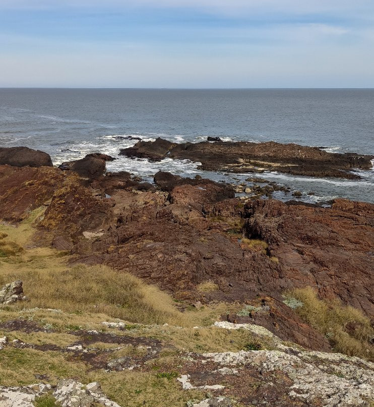 Mirador Punta Ballena-Punta Ballena必去景点