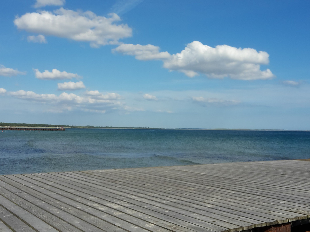 Ystad Sandskog