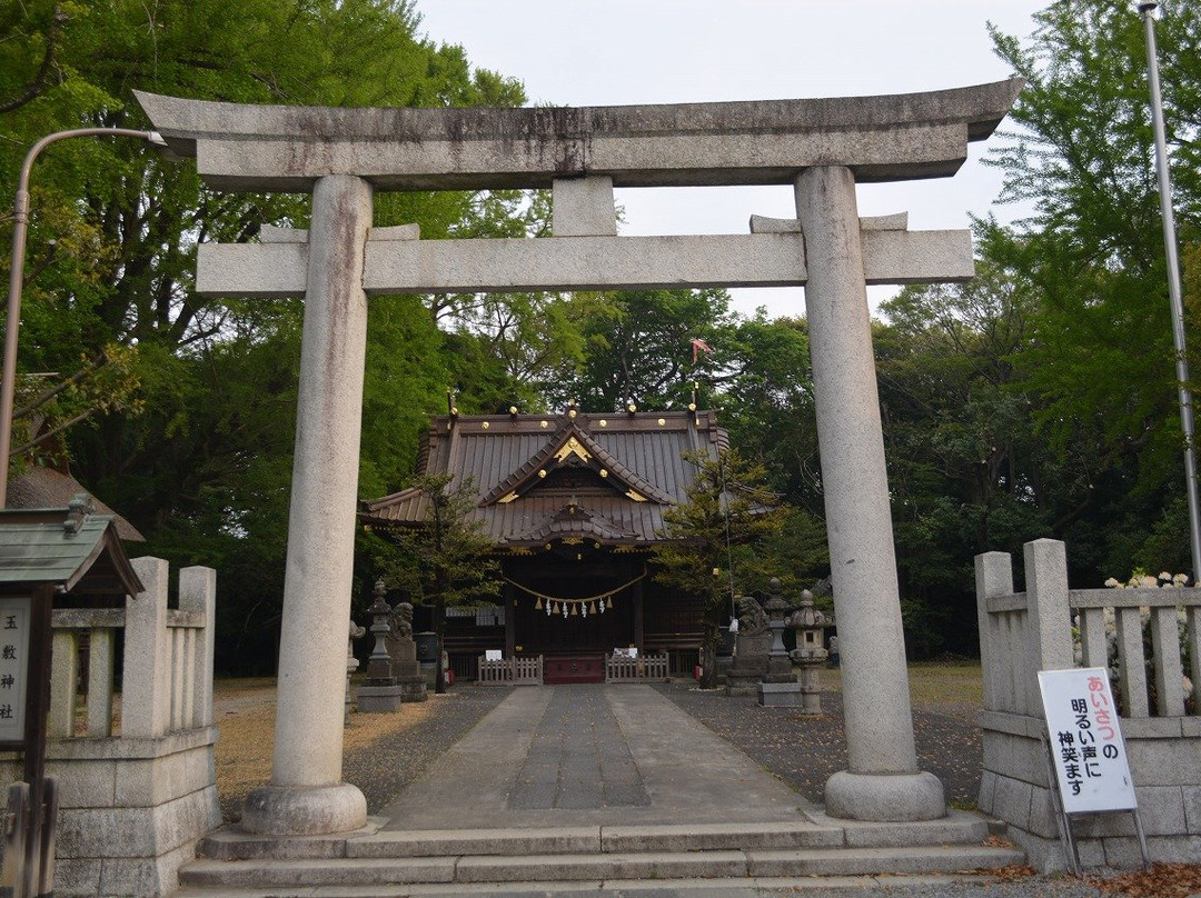 Tamashiki Shrine-加须市必去景点
