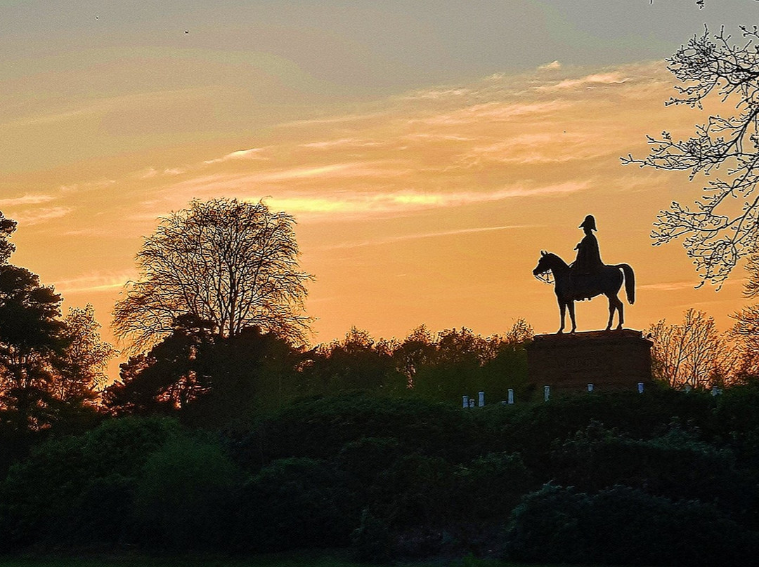 Equestrian Statue of the Duke of Wellington景点图片