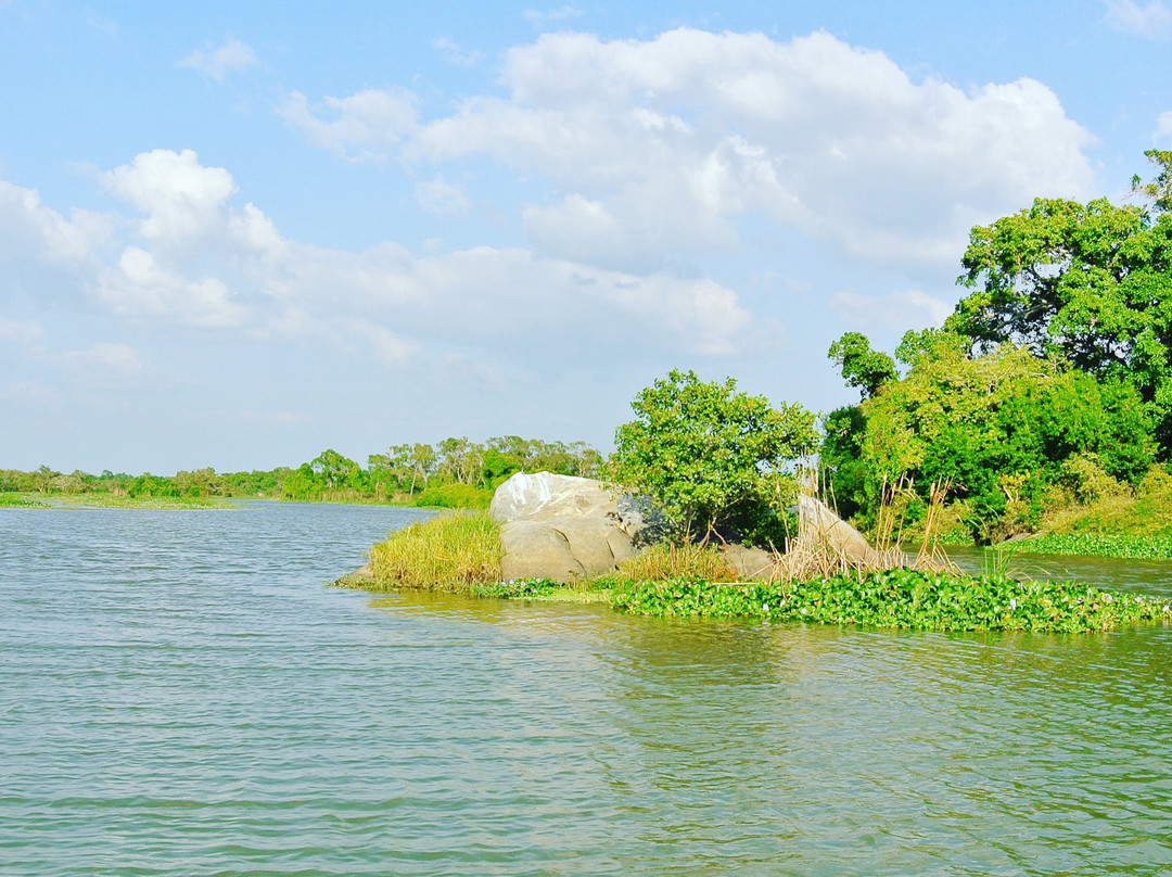 Kalamatiya Bird Sanctuary景点图片