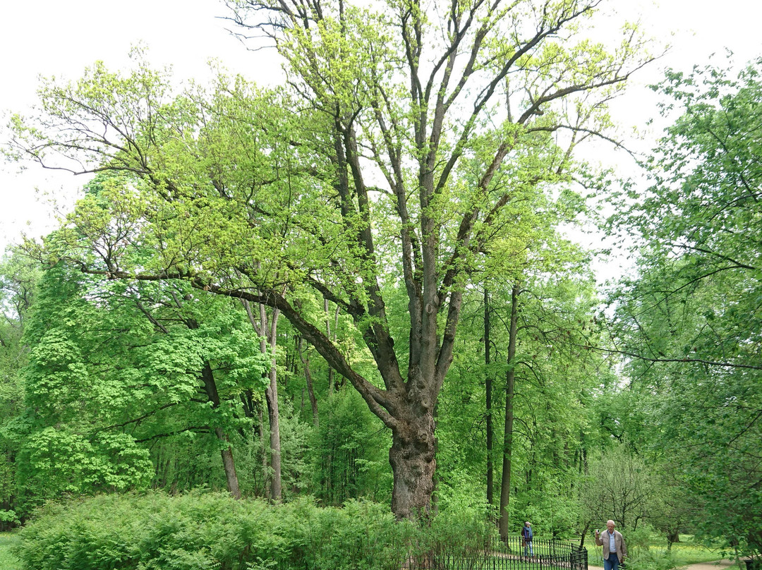Museum-Reserve I. S. Turgenev Spasskoye-Lutovinovo-Spasskoye-Lutovinovo必去景点