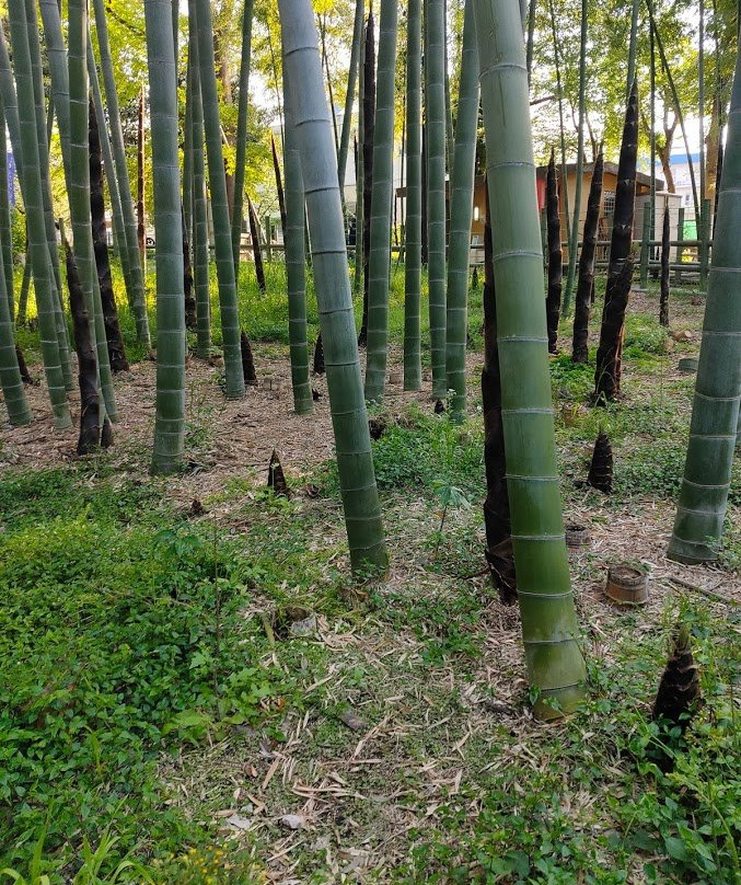 Suzume no Oyado Ryokuchi Park-目黒区必去景点