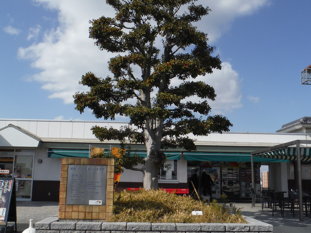 Owariichinomiya Parking Area Inbound-一宫市必去景点