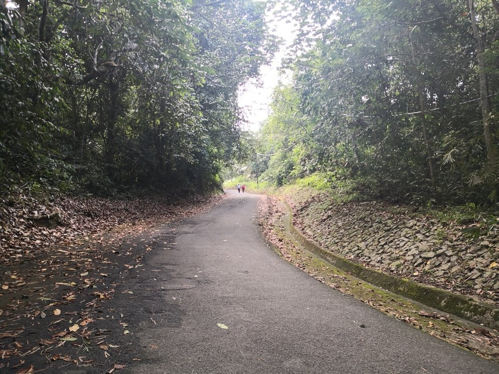 Bukit Larut景点图片