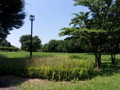 Shinozaki Park景点图片