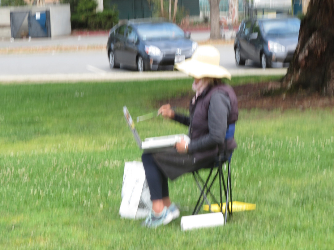 Mitchell Park-帕罗奥多必去景点