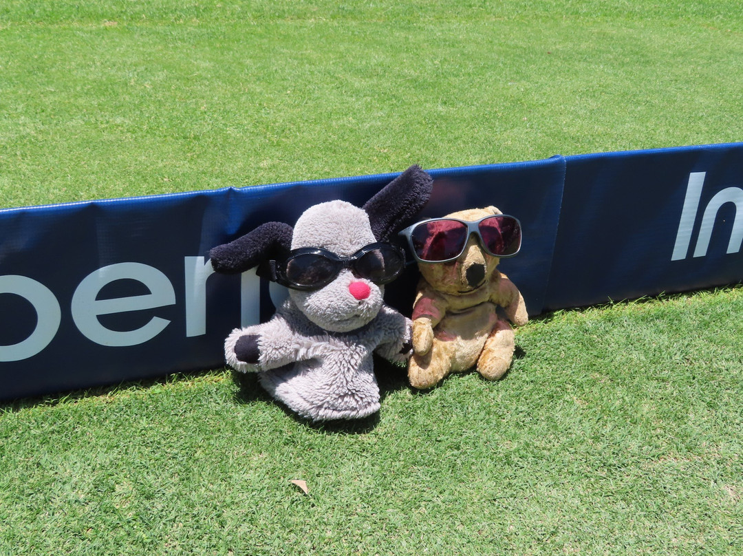 Dp World Wanderers Stadium景点图片