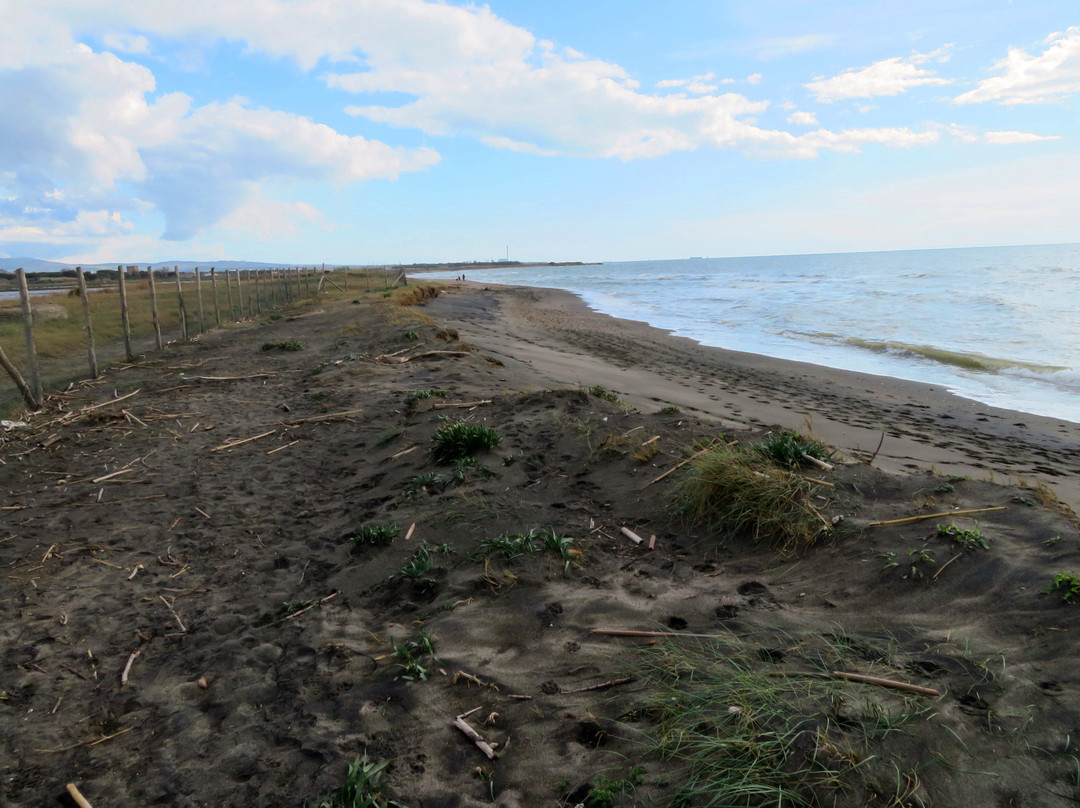 Saline di Tarquinia-塔尔奎尼亚必去景点